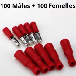 100 mâles + 100 femelles isolées