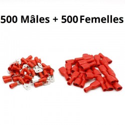 500 mâles + 500 femelles isolées