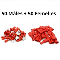 50 mâles + 50 femelles isolées