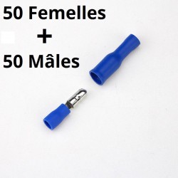 50 mâles + 50 femelles isolées