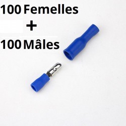 100 mâles + 100 femelles isolées