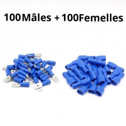 100 mâles + 100 femelles isolées