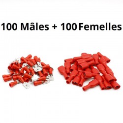 100 mâles + 100 femelles isolées